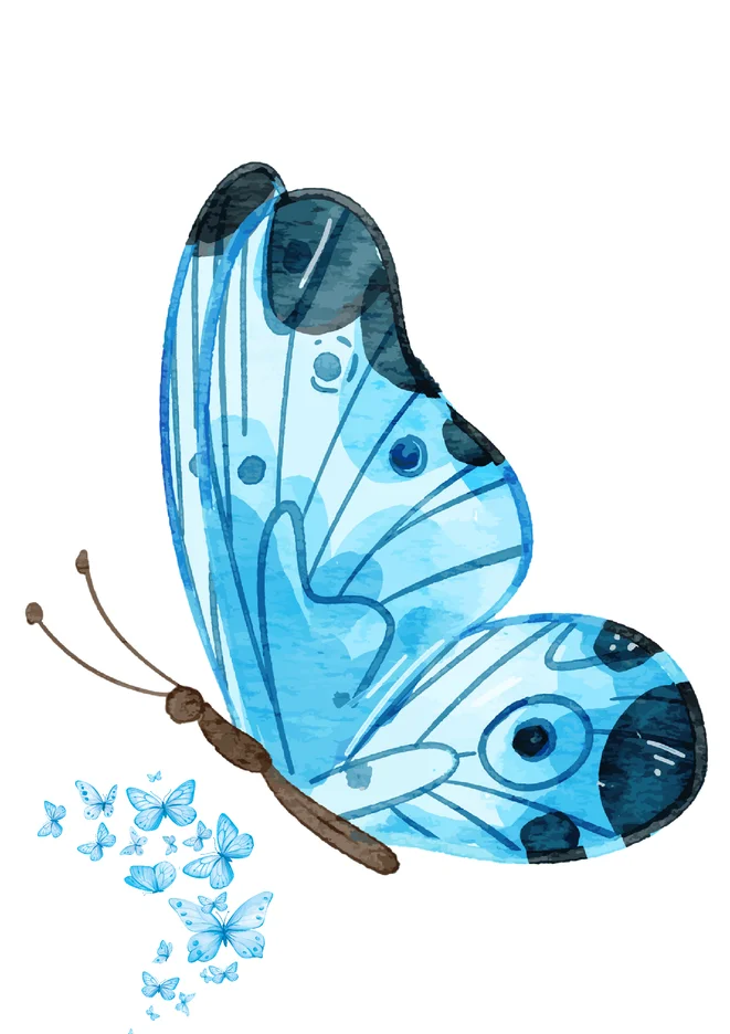 Borboleta Azul Para Imprimir para imprimir e colorir - imagem 4